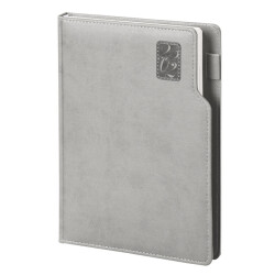 17x24 BAŞAKŞEHİR GÜNLÜK AJANDA GRİ - 